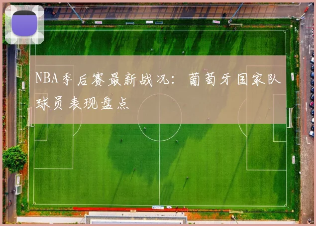 NBA季后赛最新战况：葡萄牙国家队球员表现盘点